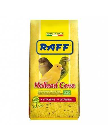 RAFF HOLLAND COVA 1 KG.