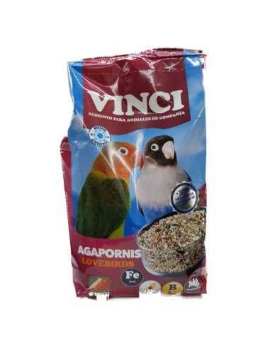 AGAPORNIS VINCI 5 KG.