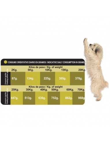 PROCT-DOG ADULT ENERGY 20 KG.