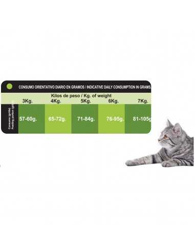 PROCT-CAT ADULT FISH&VEGETAL 20 KG