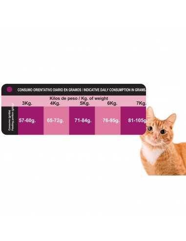 PROCT-CAT ADULT CHICKEN. 20 KG.