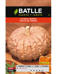 CALABAZA DULCE HORNO BUEN GUSTO