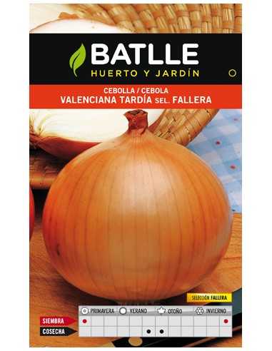 CEBOLLA VALENCIANA TARDIA SEL.FALLERA