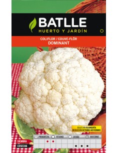 COLIFLOR DOMINANT BLANQUITA