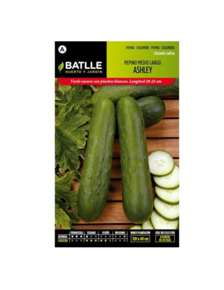 PEPINO ASHLEY MEDIO LARGO 10 GR.