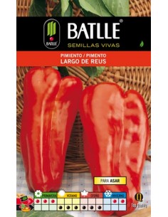 PIMIENTO LARGO DE REUS