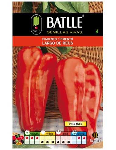 PIMIENTO LARGO DE REUS
