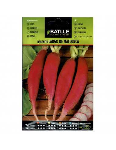 RABANITO LARGO MALLORCA SOBRE