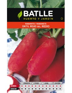 RABANITO DATIL ROJO SEL.REDIO.SOBRE