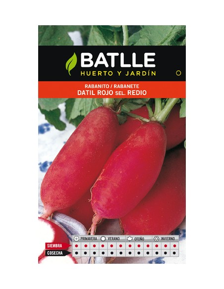 RABANITO DATIL ROJO SEL.REDIO.SOBRE