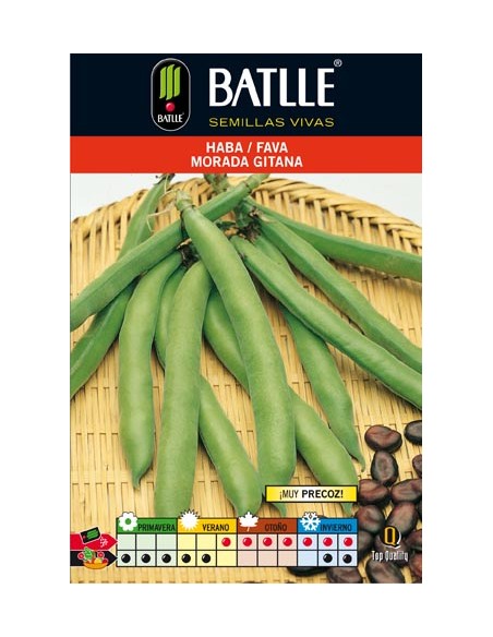 HABA MORADA GITANA 1 KG.