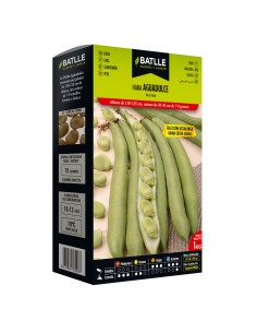 HABA AGUADULCE 1 KG. Sel.Acualonga