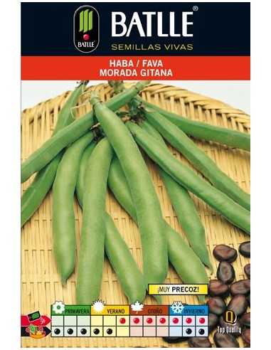 HABA MORADA GITANA 250 GR.