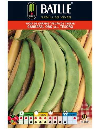 JUDIA GARRAFAL ORO 250 GR.ENRAME