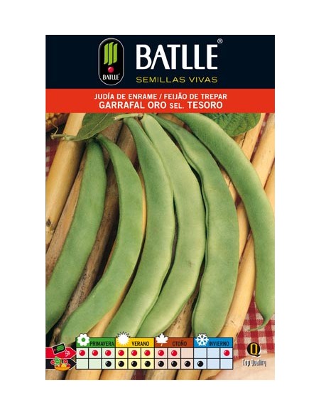 JUDIA GARRAFAL ORO 250 GR.ENRAME
