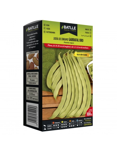 JUDIA GARRAFAL ORO 100 GR.ENRAME