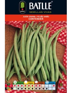 JUDIA CONTENDER 100 GR. ENANA