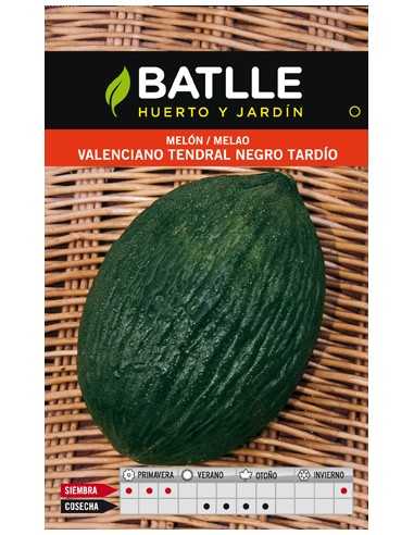 MELON TENDRAL NEGRO TARDIO