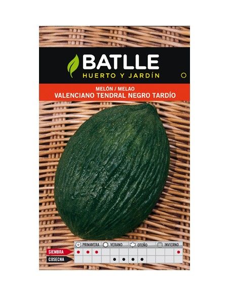 MELON TENDRAL NEGRO TARDIO