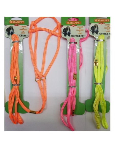 ARNES+RAMAL NYLON EXPOSICION