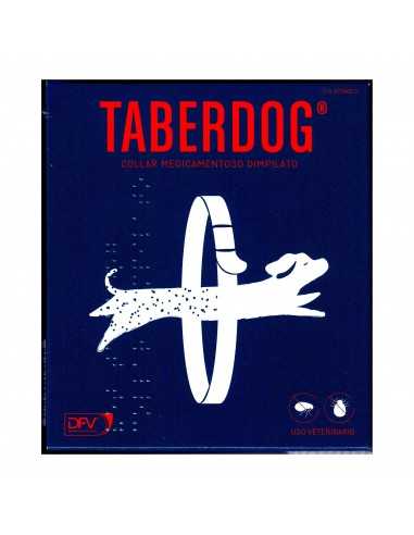 TABERDOG COLLAR DIMPILATO 60cm.