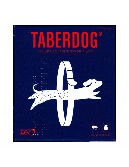 TABERDOG COLLAR DIMPILATO 60cm.