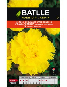 CLAVEL CHABAUD DOBLE AMARILLO SOBRE
