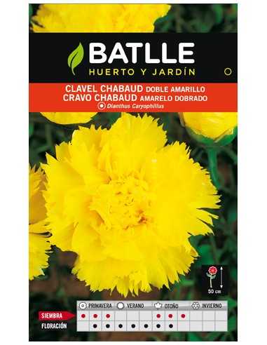 CLAVEL CHABAUD DOBLE AMARILLO SOBRE