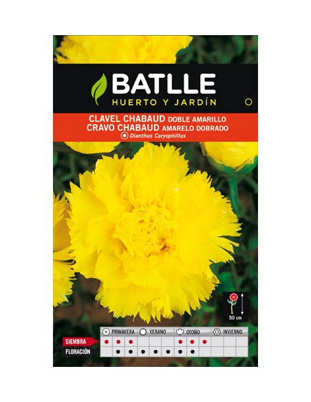 CLAVEL CHABAUD DOBLE AMARILLO SOBRE