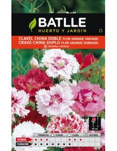 CLAVEL CHINA DOBLE VARIADO SOBRE