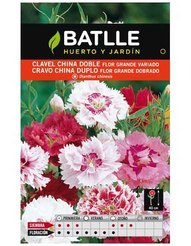 CLAVEL CHINA DOBLE VARIADO SOBRE