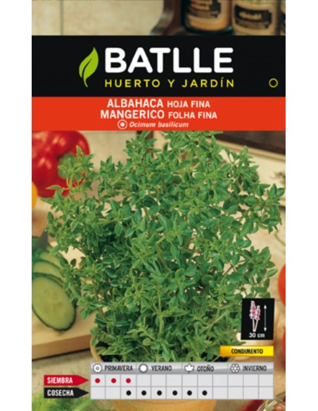 ALBAHACA HOJA FINA