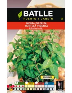 MENTA PIPERITA (INFUSIONES) SOBRE