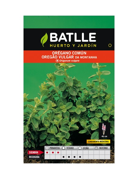 OREGANO SOBRE.