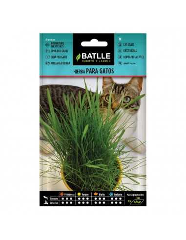 HIERBA PARA GATO BATLLE SOBRE