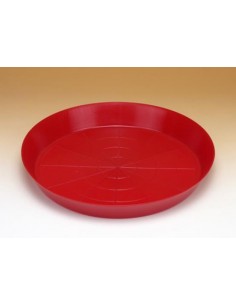 BANDEJA POLLITOS 1ª EDAD