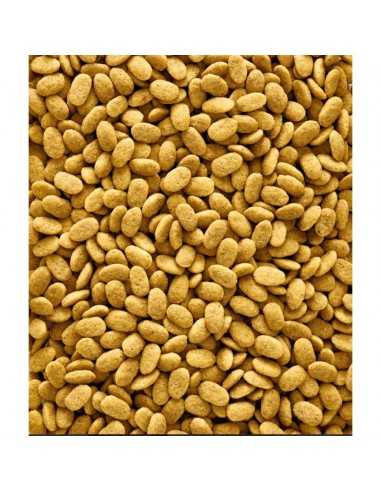 NUTRIBIRD P15 ORIGINAL 1KG.
