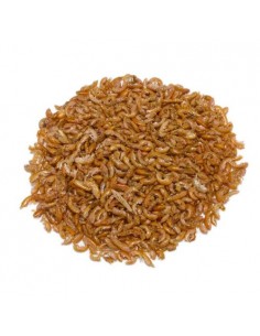 GAMMARUS GRANEL. Precio/Kilo