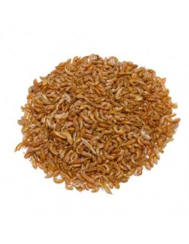 GAMMARUS GRANEL. Precio/Kilo
