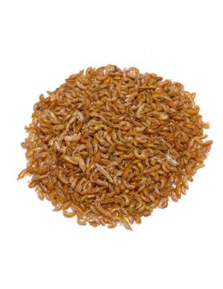 GAMMARUS GRANEL. Precio/Kilo