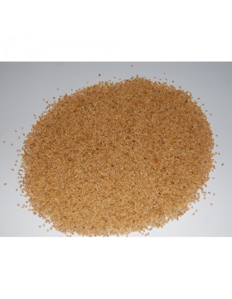 PANIZO EN GRANO 25 KG.