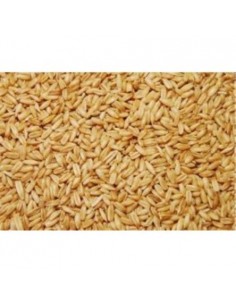 AVENA PELADA VINCI 5 KG. -3-