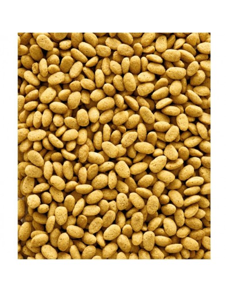 NUTRIBIRD P19 ORIGINAL CRIA 10 KG. VERSELE-LAGA