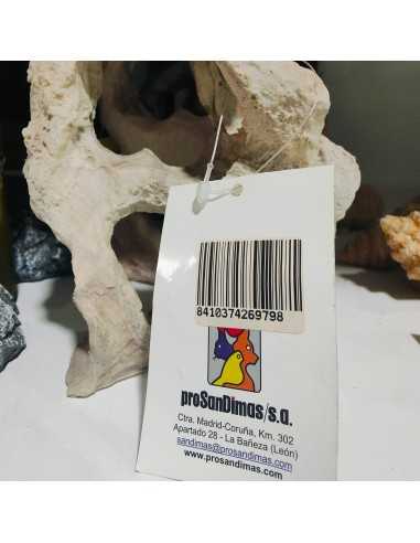 ROCA 2 AGUJEROS