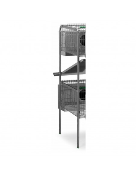 PATA LIMA 2 PISO