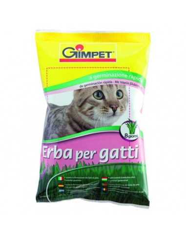 HIERBA GATO 100 GRS.GIMPET