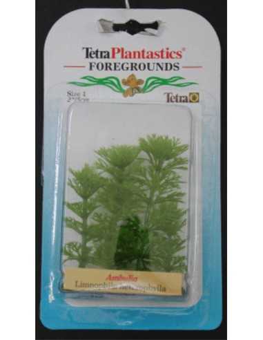 PLANTA AMBULIA FOREGROUND 5 CM.