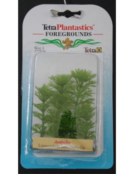 PLANTA AMBULIA FOREGROUND 5 CM.