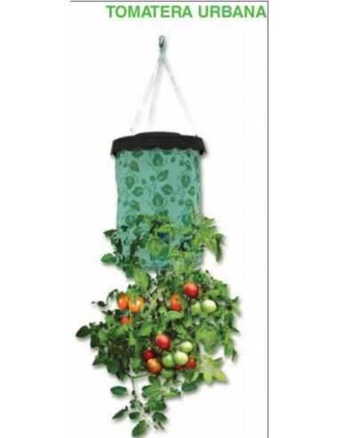 TOMATERA URBANA 40x22cm.