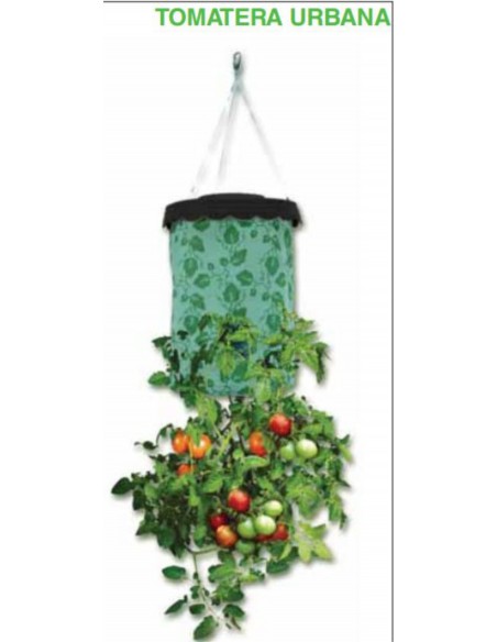 TOMATERA URBANA 40x22cm.